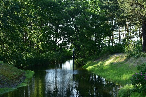 Bougez pour la santé : Prévention des maladies chez les seniors grâce à l'activité physique